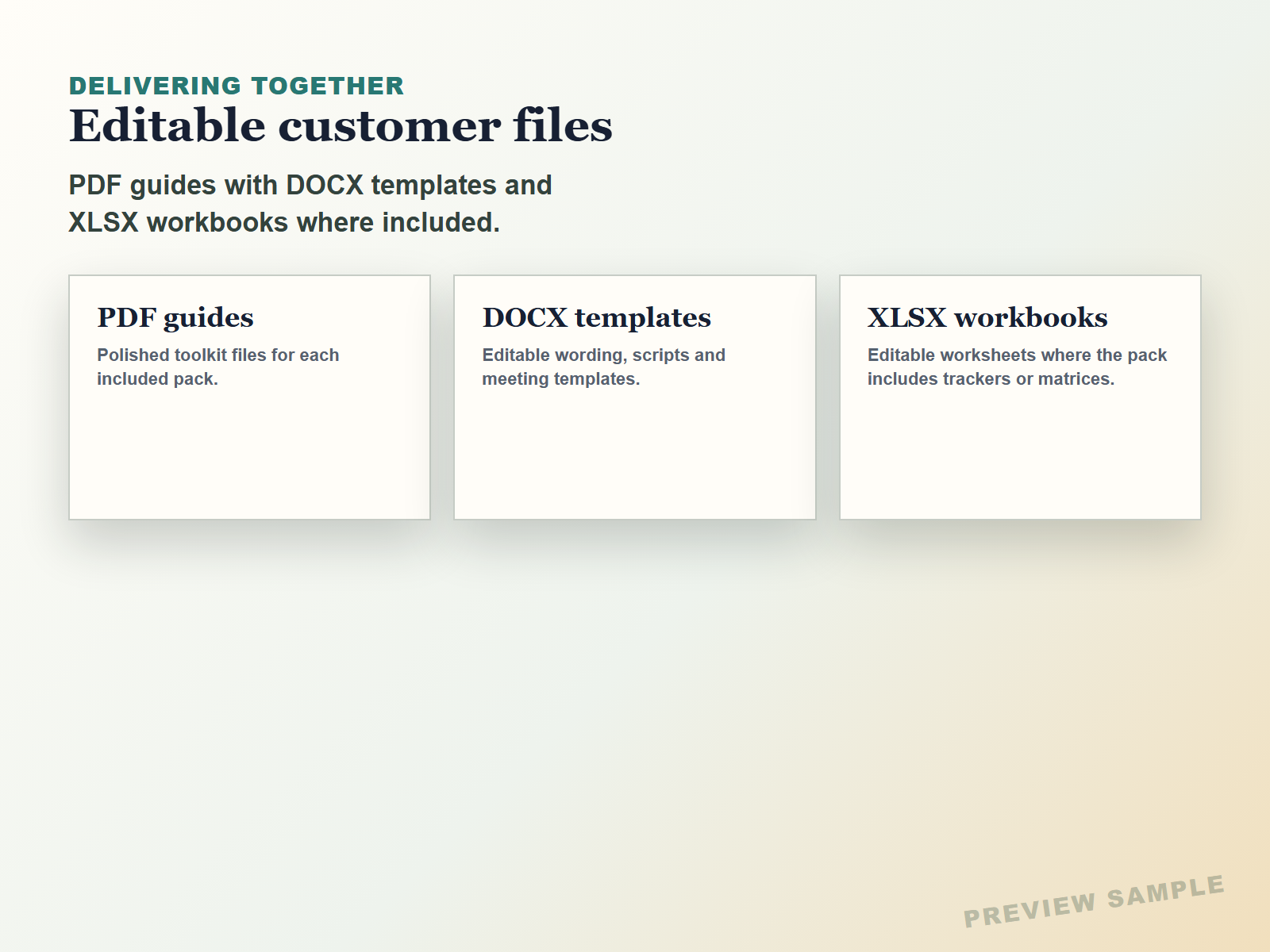 Editable PDF DOCX and XLSX files preview for the Manager Toolkit Starter Bundle